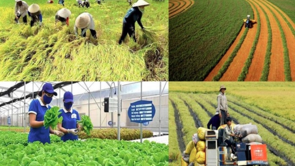 German state seeks new opportunities in Vietnam’s agriculture sector